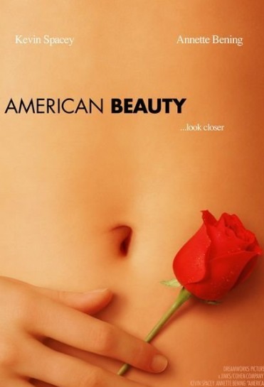 American Beauty Blu-ray DVD Boxset